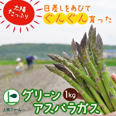 【2026年5月中旬から発送】上田ファームのグリーンアスパラガス 1kg《数量限定》 ued07