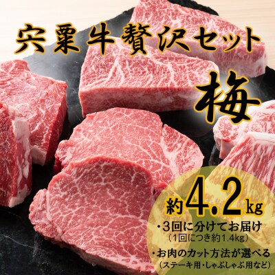 宍粟牛 贅沢セット【梅】国産 黒毛和牛 4.2Kg　F10