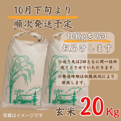【 令和8年産 新米 受付開始 】しそうのおいしい お米 コシヒカリ 玄米 20kg　X1