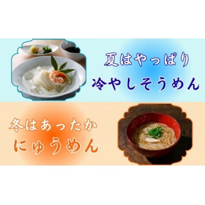 手延べ そうめん 揖保乃糸　特級品 120束 6kg　AA6