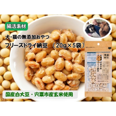 腸活素材　犬・猫の無添加おやつ　フリーズドライ納豆　O22