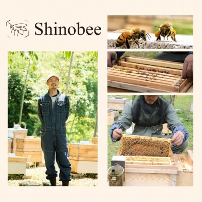 国産・非加熱 生はちみつ　300g　百花〈山野の花々〉 AS18　