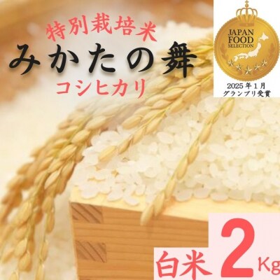 白米 2Kg コシヒカリ「 みかたの舞 」 特別栽培米　P15