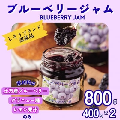 果実たっぷり ブルーベリージャム 800g(400g×2本)　BW1