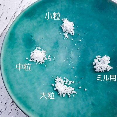 【四国一小さなまちのお塩】塩職人 田野屋青蜂 完全天日塩小粒1袋セット