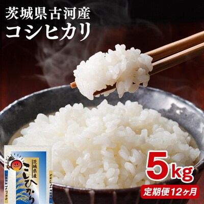 【定期便 12か月】【新米】令和8年産 古河市産コシヒカリ 5kg _DP36
