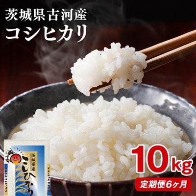 【定期便 6か月】【新米】令和8年産 古河市産コシヒカリ 10kg(5kg×2袋) _DP44