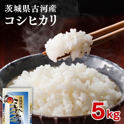 【新米】令和8年産 古河産コシヒカリ(5kg) ※2026年9月～発送 _DP07