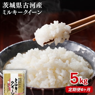 【定期便 6か月】【新米】令和8年産 古河市産ミルキークイーン 5kg _DP38