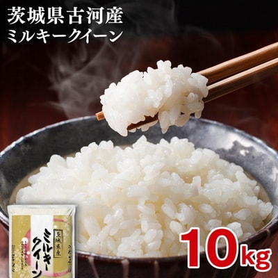 【新米】令和8年産 古河市ミルキークイーン 10kg(5kg×2袋) _DP91