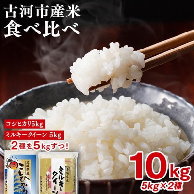 【新米】令和8年産 古河のお米食べ比べセット(コシヒカリ・ミルキークイーン)計10kg _DP04