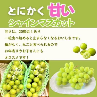 【先行予約丨2026年9月上旬より順次発送】シャインマスカット【約1kg (2房)】