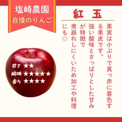 【先行予約丨2026年10月上旬より順次発送】紅玉【約2～2.5kg(8～14玉)】