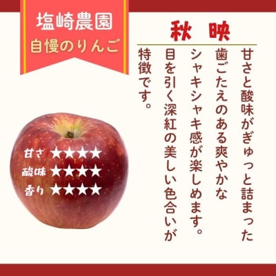 【先行予約丨2026年10月上旬より順次発送】秋映【約3kg (6～12玉)】