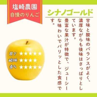 【先行予約丨2026年10月下旬より順次発送】シナノゴールド【約3kg (6～12玉)】