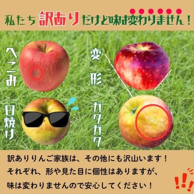 【先行予約丨2026年10月上旬より順次発送】訳あり 秋映【約3kg(6～14玉)】