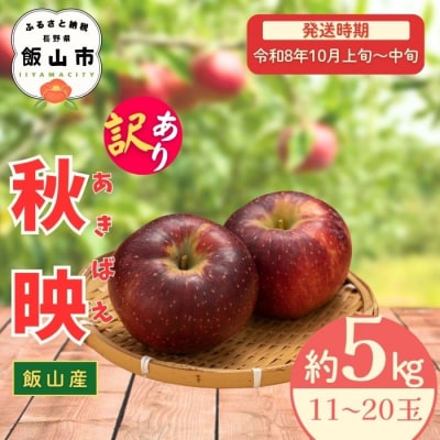 【先行予約丨2026年10月上旬より順次発送】訳あり 秋映【約5kg (11～20玉)】