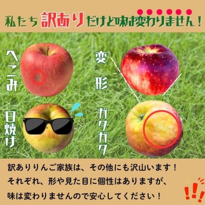 【先行予約丨2026年10月中旬より順次発送】訳あり シナノスイート【約3kg(6～14玉)】