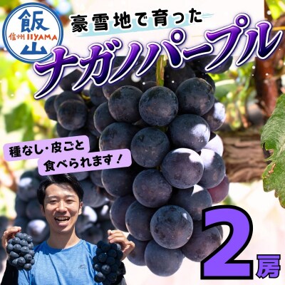 【先行予約】 ナガノパープル 2房 (約1kg) 《 2026年10月～発送 》 