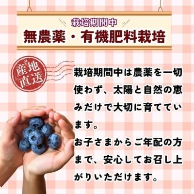 【2026年発送 先行予約】 ＜生＞ 完熟 ブルーベリー 姫 1kg 《 2026年7月より発送 》