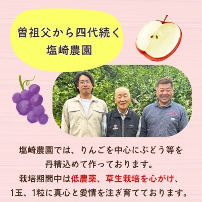 北信州産100%りんごジュース 1L×2本