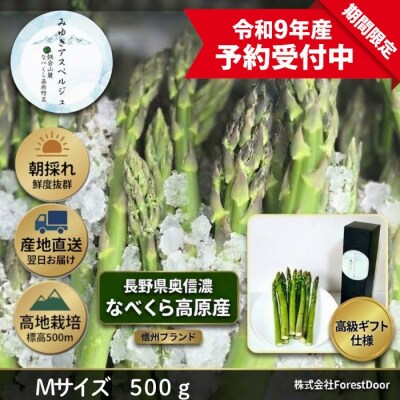【令和9年産先行予約】アスパラガス みゆきアスペルジュ Mサイズ 500g入り(15～18本)