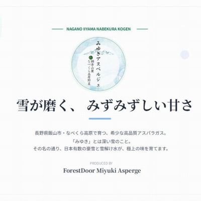 【令和9年産先行予約】アスパラガス みゆきアスペルジュ Mサイズ 1kg入り(30～36本)