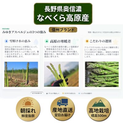 【令和9年産先行予約】アスパラガス みゆきアスペルジュ Lサイズ 2kg入り(44～52本)