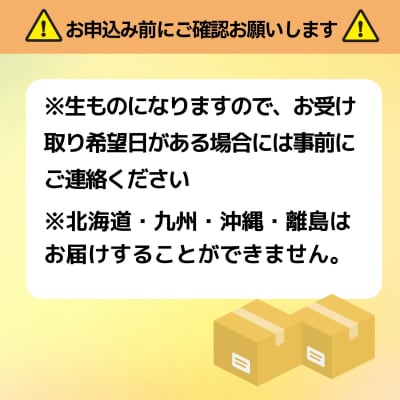 郷土食「信州サーモン(スモーク)笹ずし(10枚)