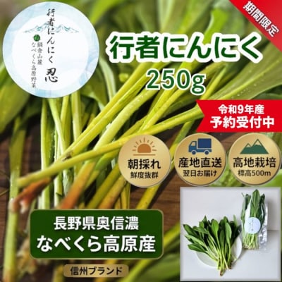 【令和9年産先行予約】行者にんにく 忍 250g入り　1箱(35枚～40枚)
