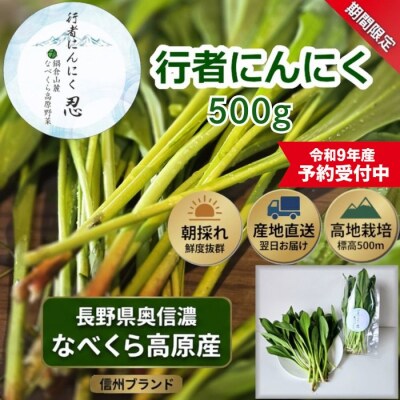 【令和9年産先行予約】行者にんにく 忍 500g入り　1箱(70枚～75枚)