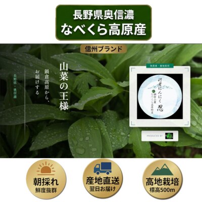 【令和9年産先行予約】行者にんにく 忍 500g入り　1箱(70枚～75枚)