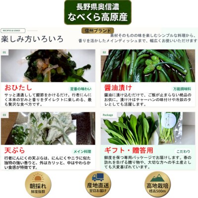 【令和9年産先行予約】行者にんにく 忍 500g入り　1箱(70枚～75枚)