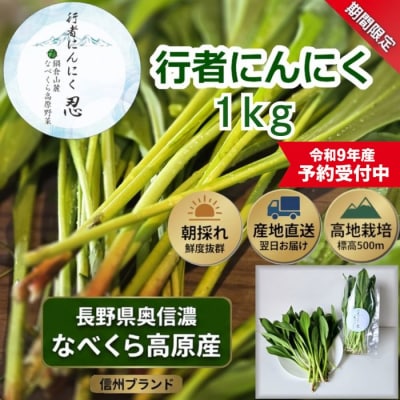 【令和9年産先行予約】行者にんにく 忍 1kg入り　1箱(140枚～150枚)