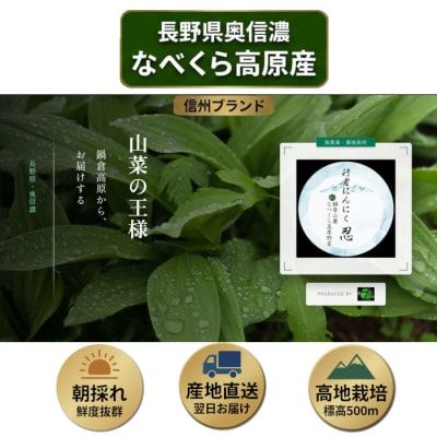 【令和9年産先行予約】行者にんにく 忍 1kg入り　1箱(140枚～150枚)