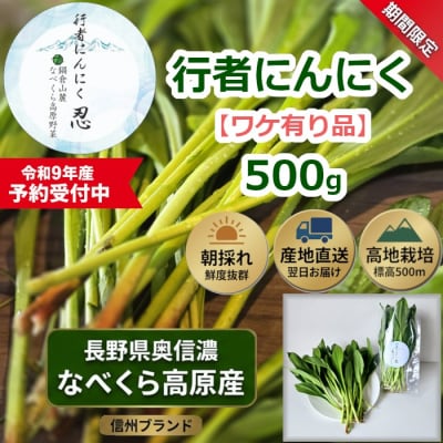 【令和9年産先行予約】＼訳あり/行者にんにく 忍 500g入り 1箱(70枚～75枚)