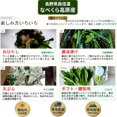 【令和9年産先行予約】＼訳あり/行者にんにく 忍 500g入り 1箱(70枚～75枚)