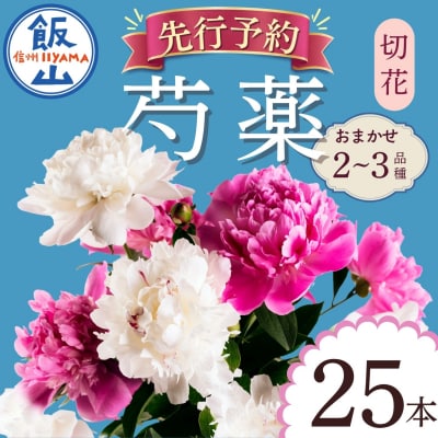 【先行予約】芍薬 切花 おまかせ2～3品種 25本セット | 木内ファーム