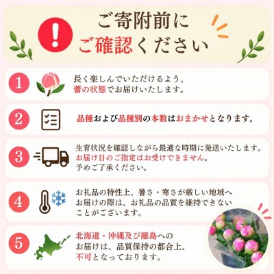 【先行予約】芍薬 切花 おまかせ2～3品種 25本セット | 木内ファーム
