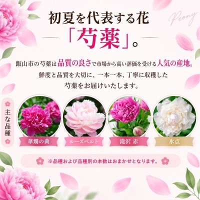 【先行予約】芍薬 切花 おまかせ2～3品種 25本セット | 木内ファーム