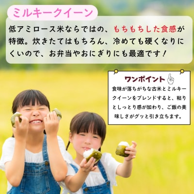 【先行予約】《 令和8年産 新米 》 沼田さんちの満点 ミルキークイーン 精米 5kg