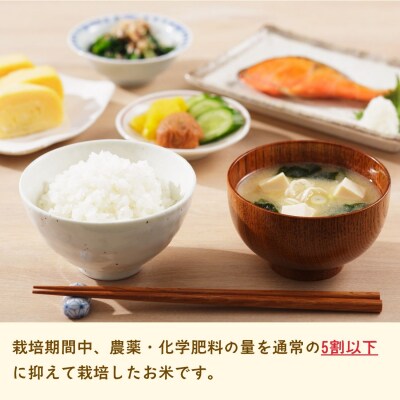 【先行予約】《 令和8年産 新米 》 沼田さんちの満点 こしひかり 精米 5kg(5kg×1袋)