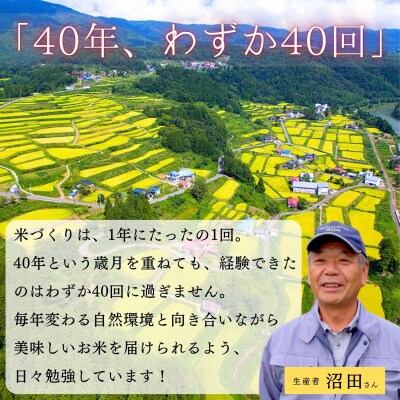 【先行予約】《 令和8年産 新米 》 沼田さんちの満点 こしひかり 精米 5kg(5kg×1袋)