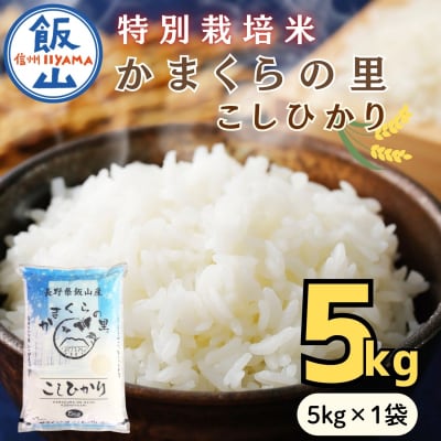 【令和8年新米予約】特別栽培米 「かまくらの里 コシヒカリ」 精米 5kg (5kg×1袋)