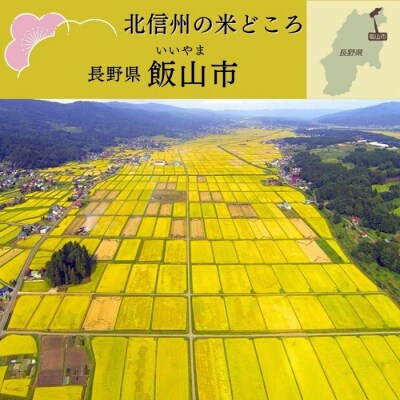 【令和8年新米予約】《定期便》2026年10月より5kgx6回 「かまくらの里 コシヒカリ」 