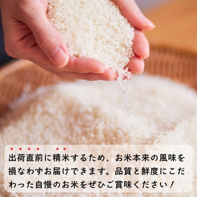 【令和8年新米予約】《定期便》こしひかり 2026年10月より5kgx6回 「 木内ファームのお米」