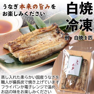 【冷凍】国産 鰻 白焼《2尾》300g以上 塩・うなぎのミニおつまみ付 ～明治37年創業「本多」～