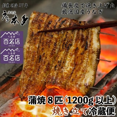 【冷蔵】国産 鰻 蒲焼《8尾》1200g以上 タレ・うなぎのミニおつまみ付～明治37年創業「本多」～