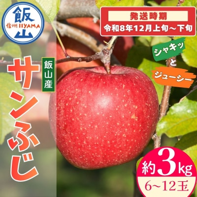 【先行予約丨2026年12月上旬より順次発送】サンふじ【約3kg(6～12玉)】