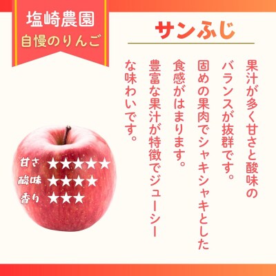【先行予約丨2026年12月上旬より順次発送】サンふじ【約3kg(6～12玉)】